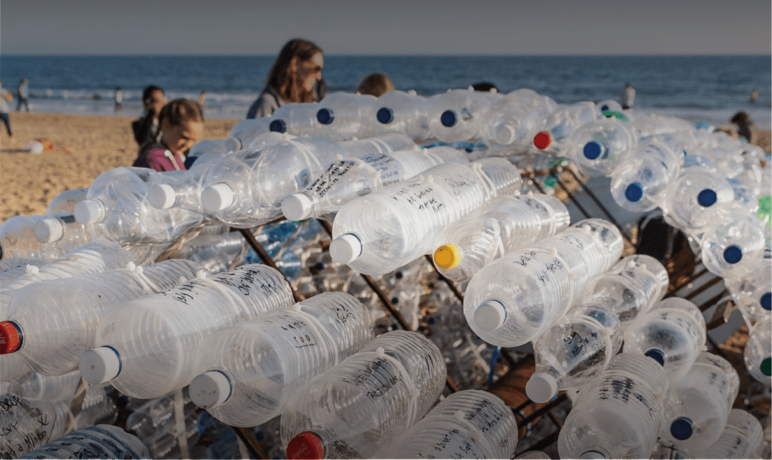 Bottles stacked high on a beech