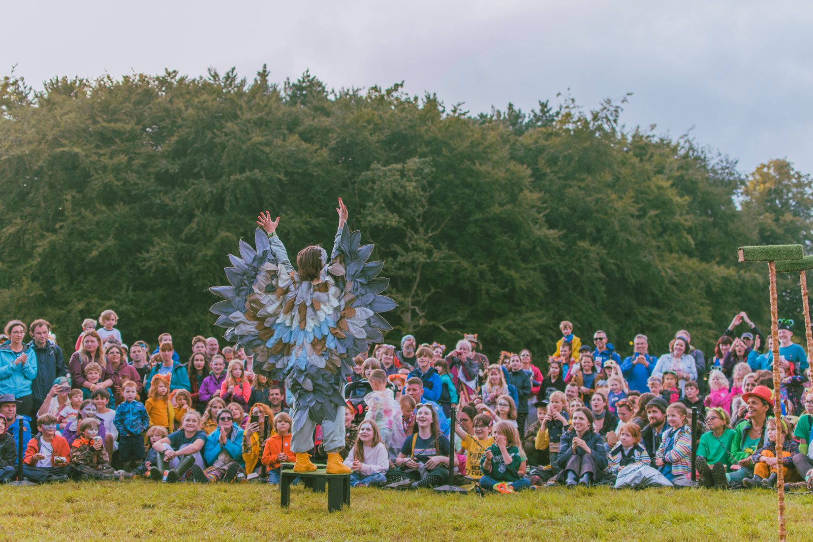 Outdoor performance with a feathered-winged character facing an enthusiastic audience.