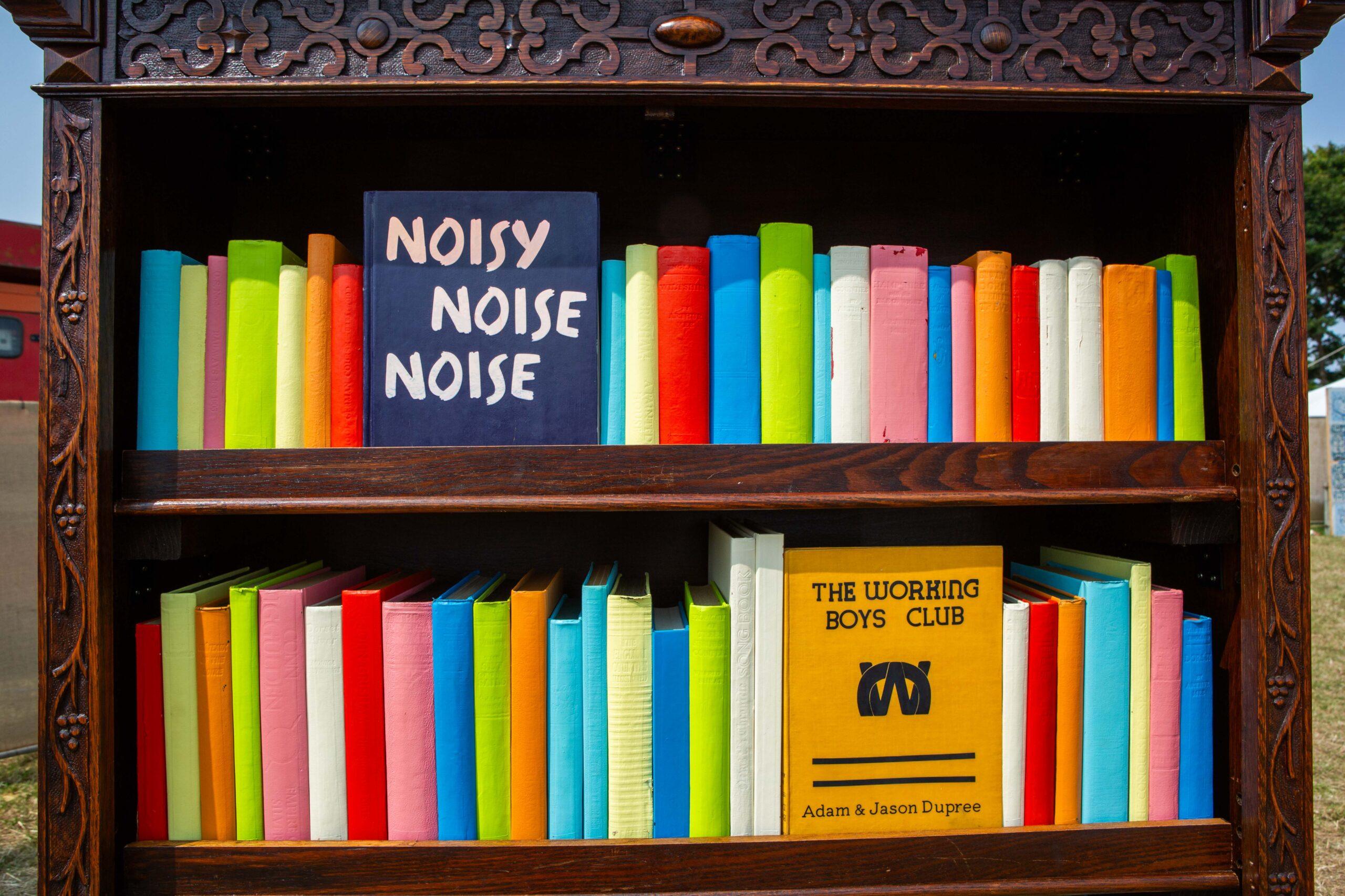 A bookshelf of brightly painted books with covers including “NOISY NOISE NOISE” and “THE WORKING BOYS CLUB.”